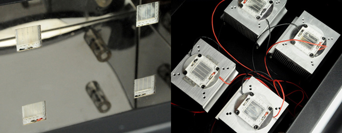 Обзор УФ-камеры Wanhao Boxman-1