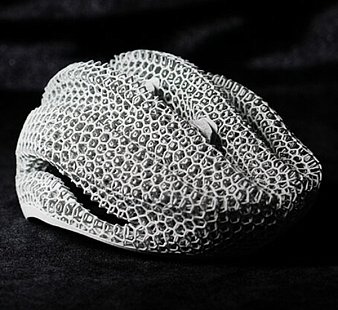 3D принтер Raise3D RMS220