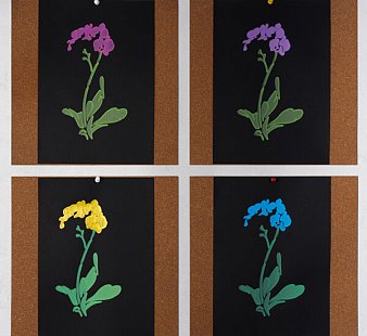 Многофункциональное 3D-устройство Bambu Lab H2D Laser Full Combo, 40 Вт (EU-версия)