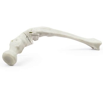 Фотополимерная смола HARZ Labs Demo Bone, костный (1кг)